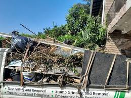 Best Commercial Junk Removal  in Mount Clemens, MI